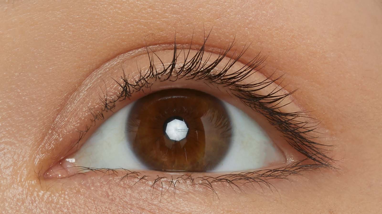 beforeeyemacro  mny makl falsies lashlift dmi 1600x900