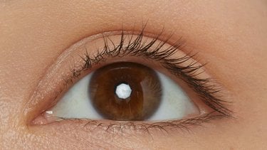 beforeeyemacro mny makl falsies lashlift dmi 1600x900